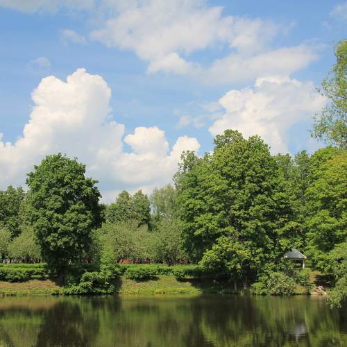 Photo #7935315