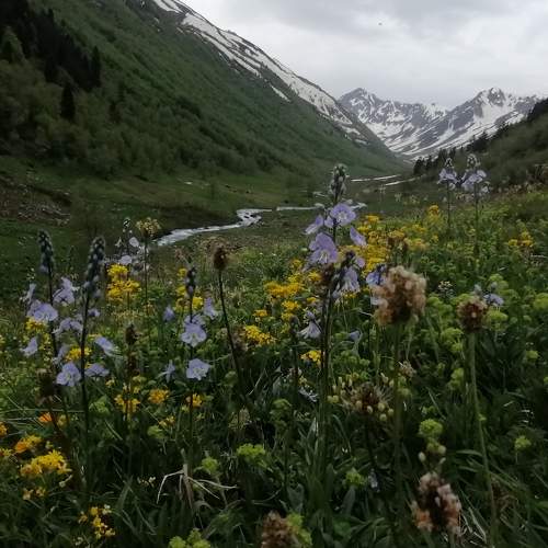 Photo #7935582