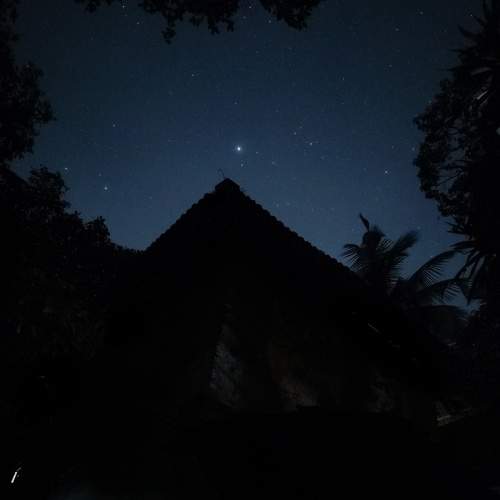 Photo #7935628