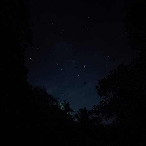Photo #7935630