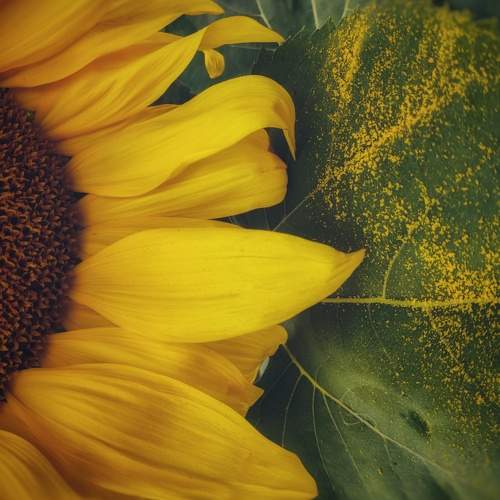 Photo #7935667