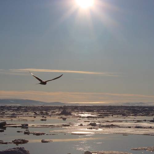 Photo #7936242