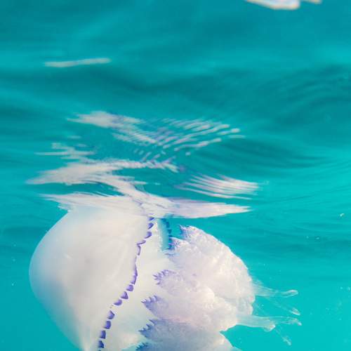 Photo #7936504