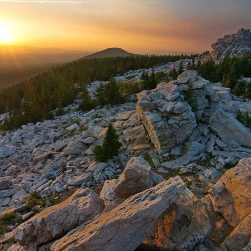 Photo #7936571
