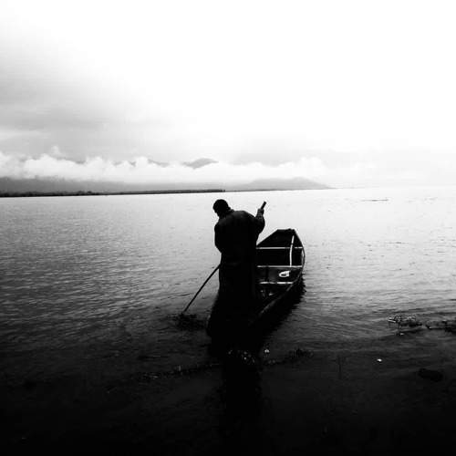 Photo #7937215