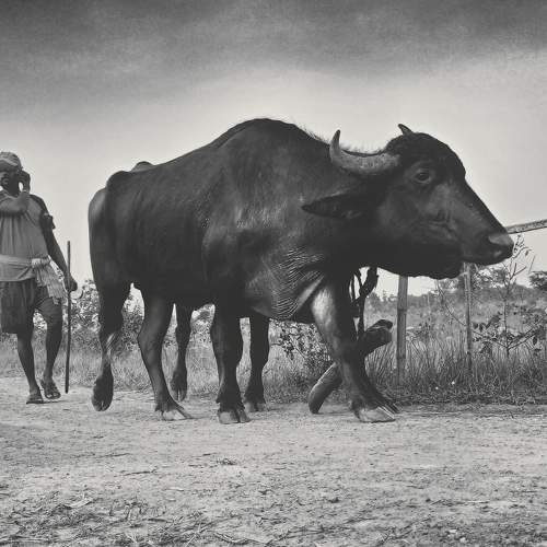 Photo #7937394