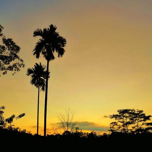 Photo #7938232