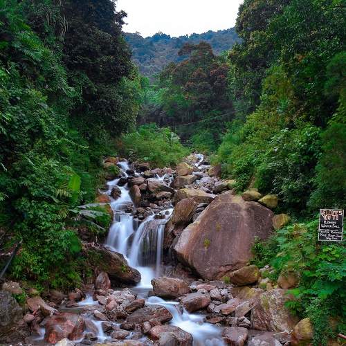 Photo #7938256