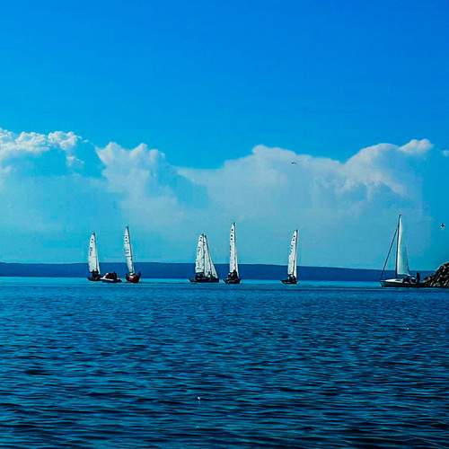Photo #7938822