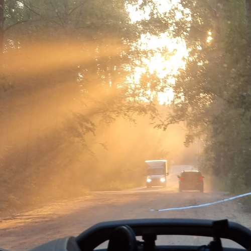Photo #7938842
