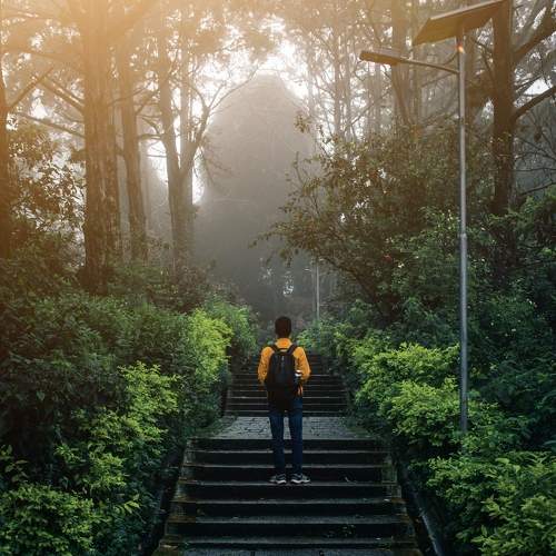 Photo #7938852