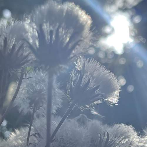 Photo #7939901