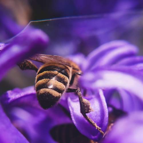 Photo #7939949