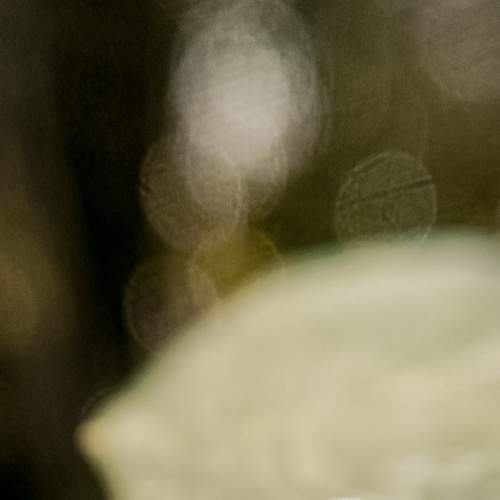 Photo #7940239