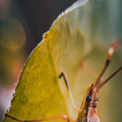 Photo #7940251