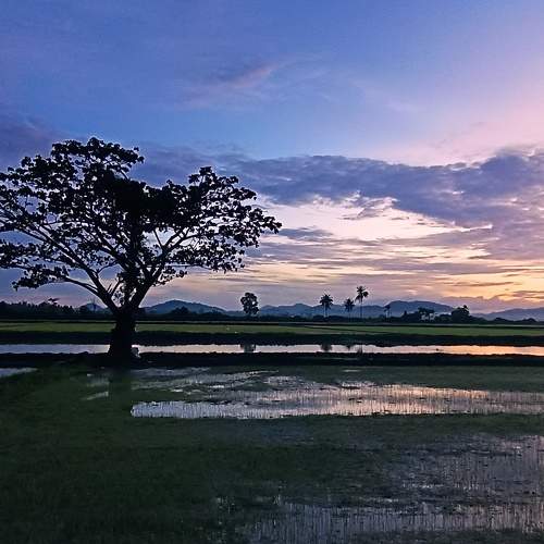 Photo #7940454