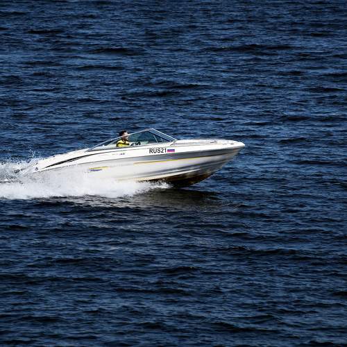 Photo #7941011