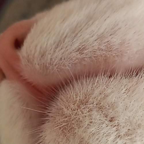 Photo #7941062