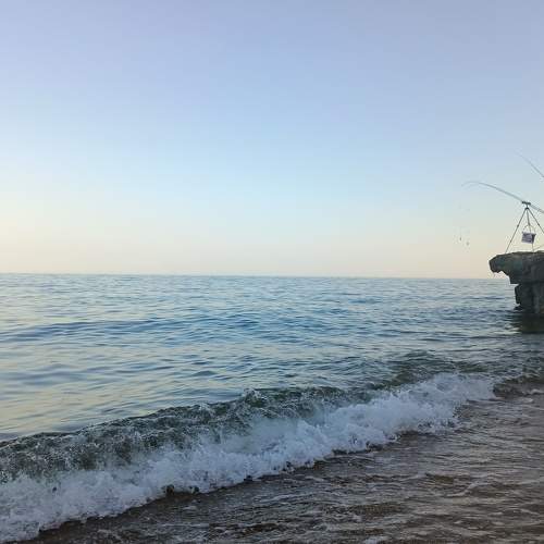 Photo #7941363