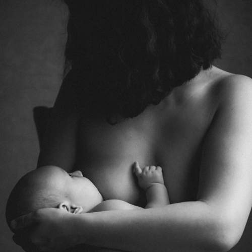 Photo #7941616