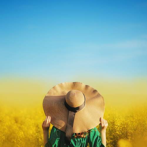 Photo #7941648