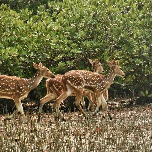 Photo #7942428
