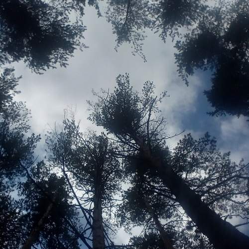 Photo #7942850