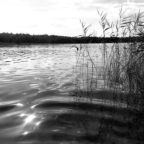 Photo #7943596