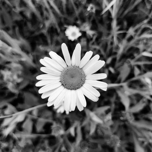 Photo #7943604