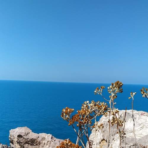 Photo #7943901