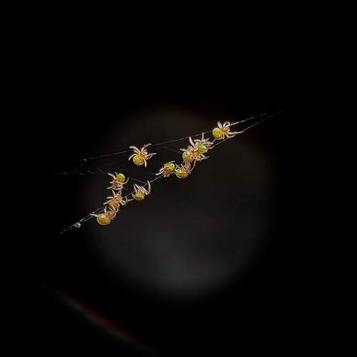 Photo #7944206