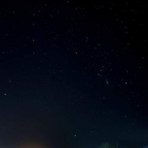 Photo #7944245