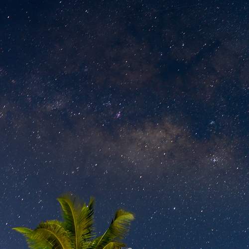 Photo #7944291