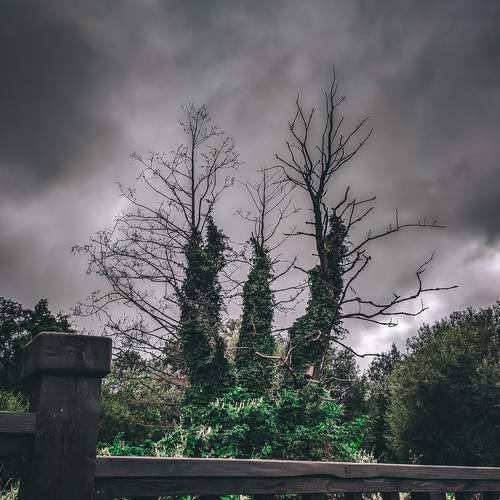 Photo #7944588