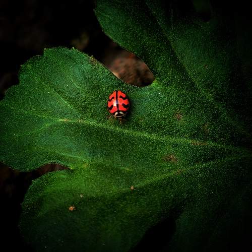 Photo #7944854