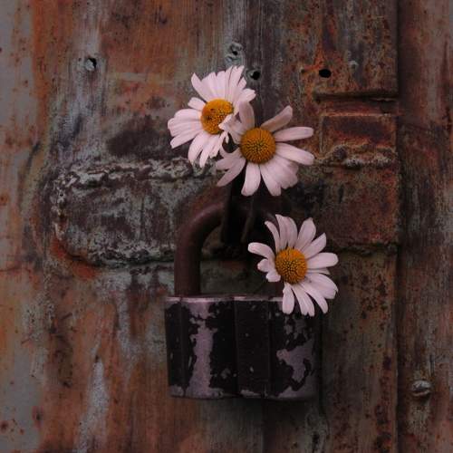 Photo #7945071