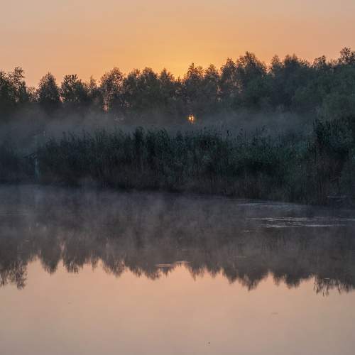 Photo #7945188