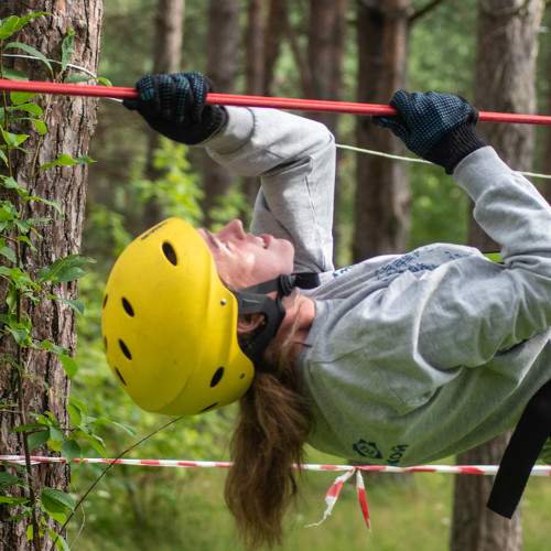 Photo #7945216