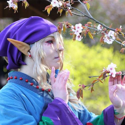 Photo #7945420