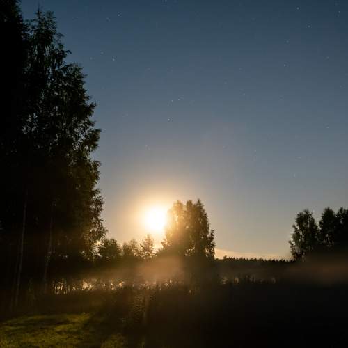Photo #7945665