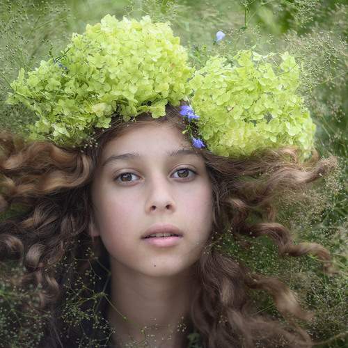 Photo #7946629