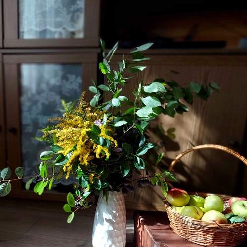Photo #7948134