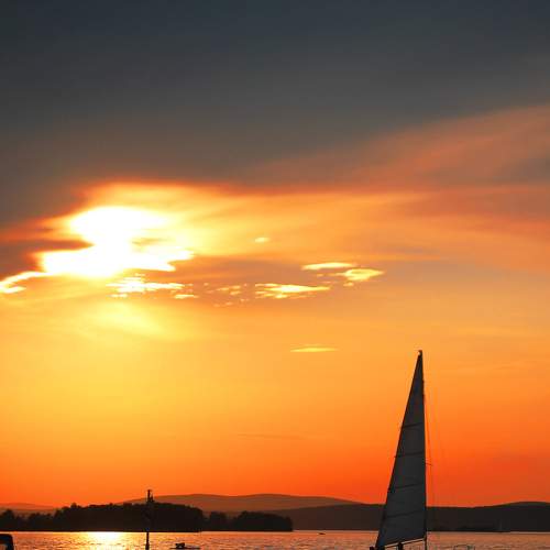 Photo #7948259
