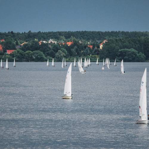 Photo #7948342