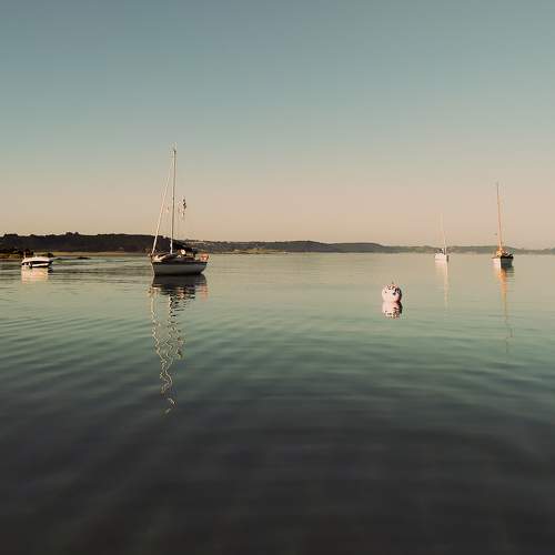 Photo #7949122