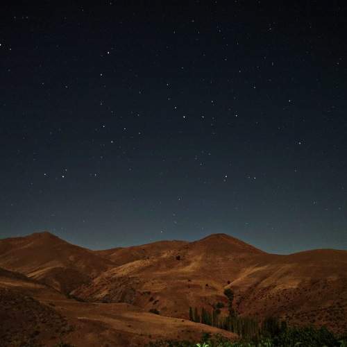 Photo #7949128