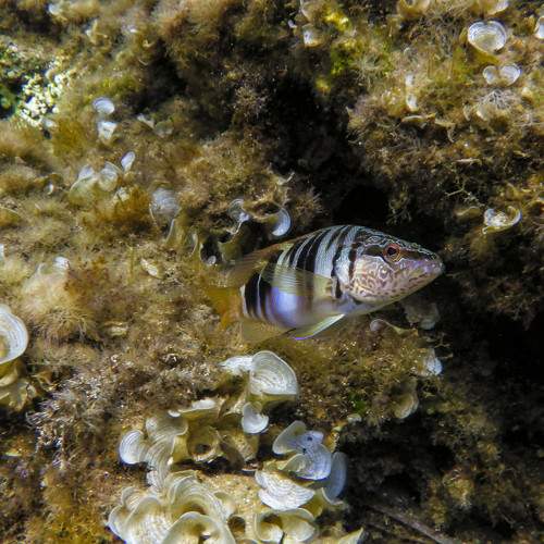 Photo #7949488