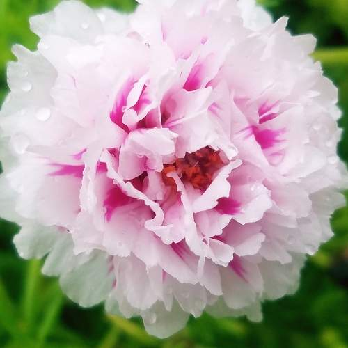 Photo #7949507