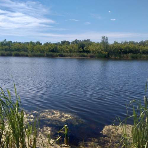 Photo #7949716
