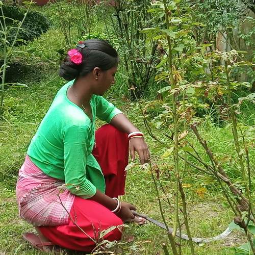 Photo #7949976